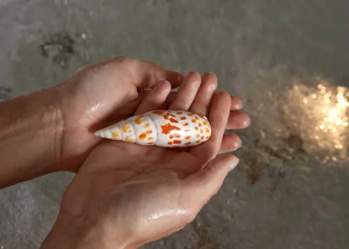 Park Kursaal Otel Misano Adriatico